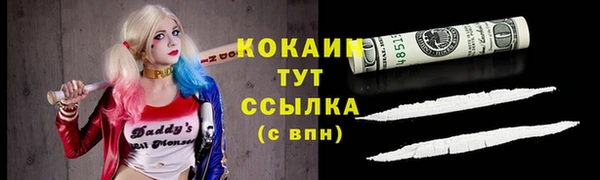 тгк Горняк