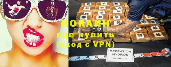 тгк Горняк