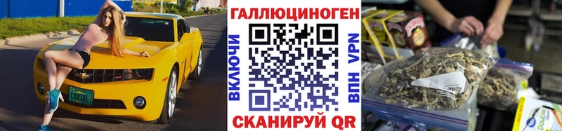 Купить Называевск Галлюциногенные грибы Psilocybe